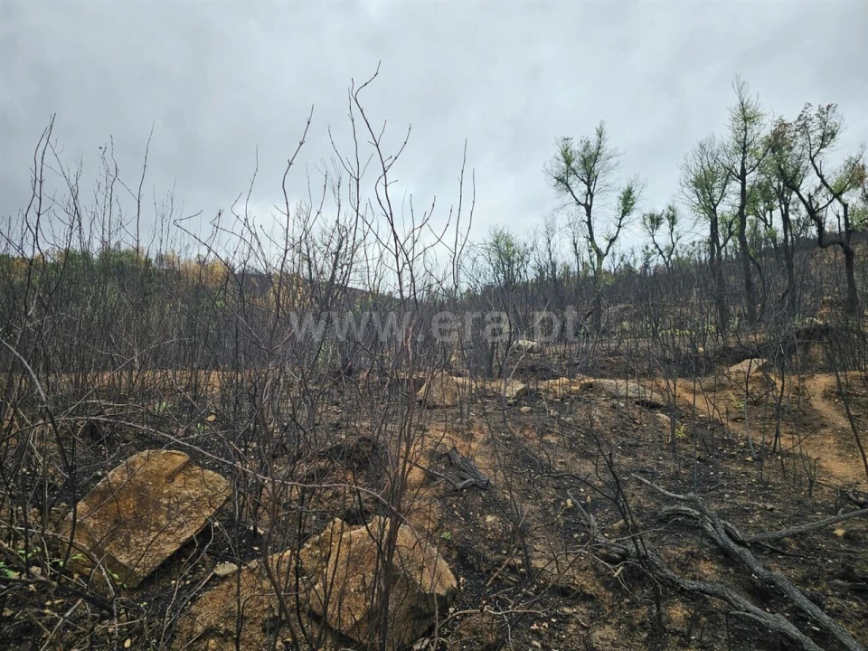 Terreno para Venda em Telhado Foto 4