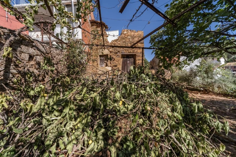 Moradia T1 para Venda em Silvares Foto 3