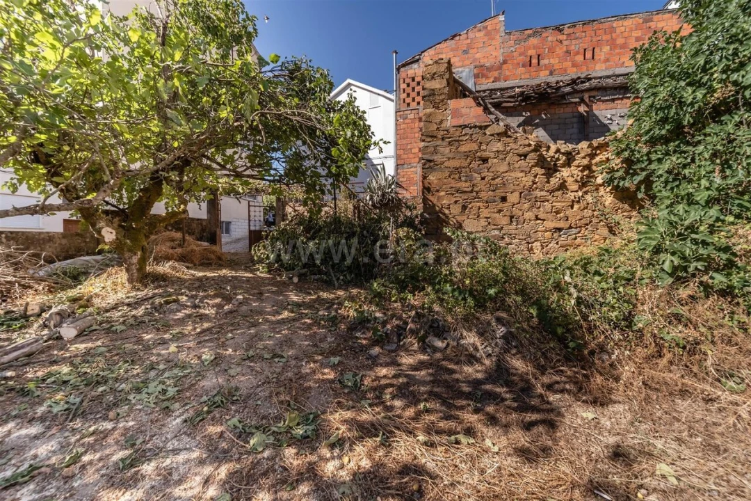 Moradia T1 para Venda em Silvares Foto 5