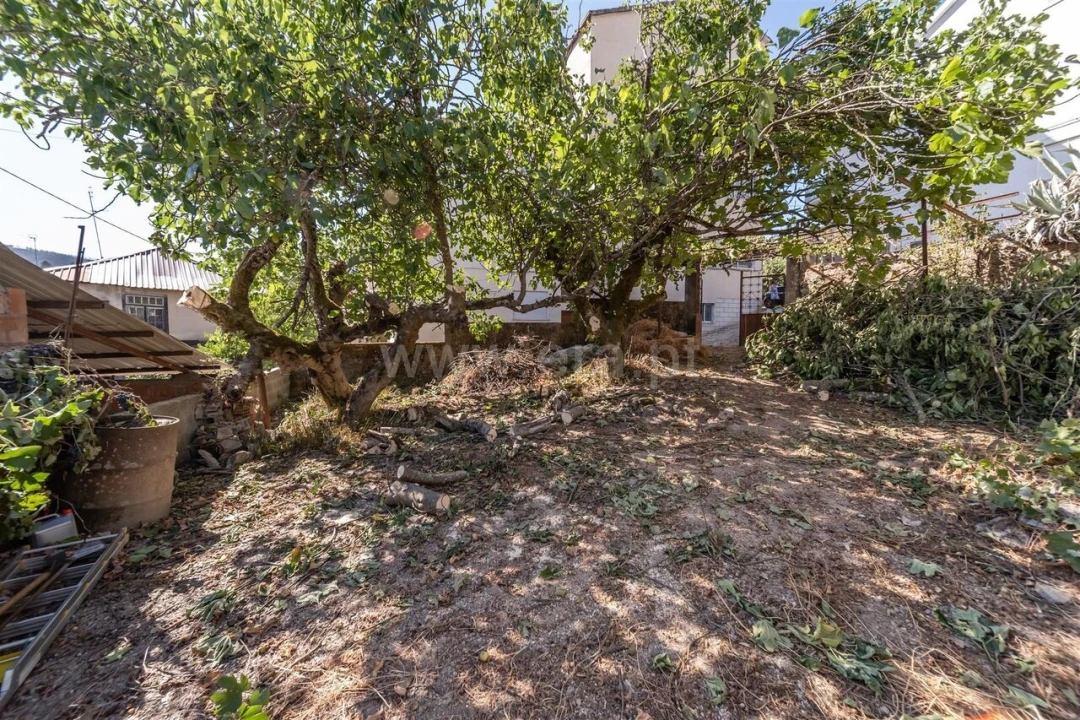 Moradia T1 para Venda em Silvares Foto 6