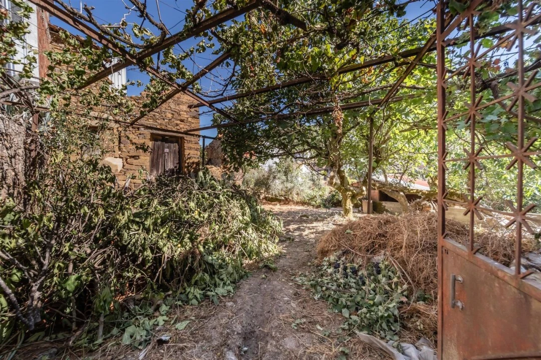 Moradia T1 para Venda em Silvares Foto 2