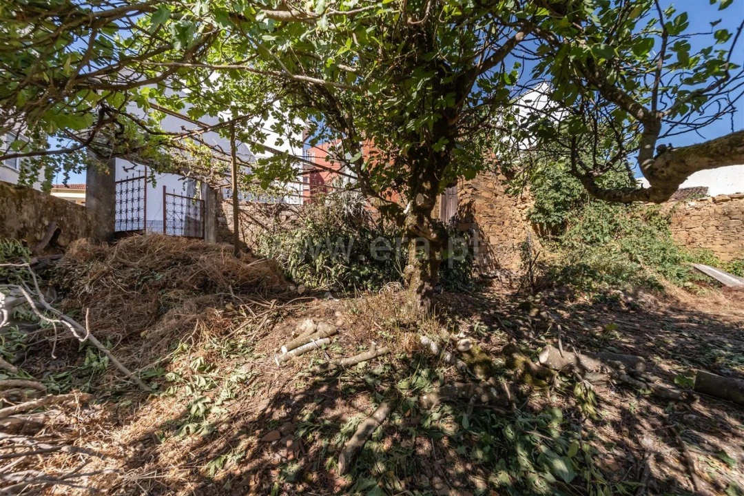 Moradia T1 para Venda em Silvares Foto 9