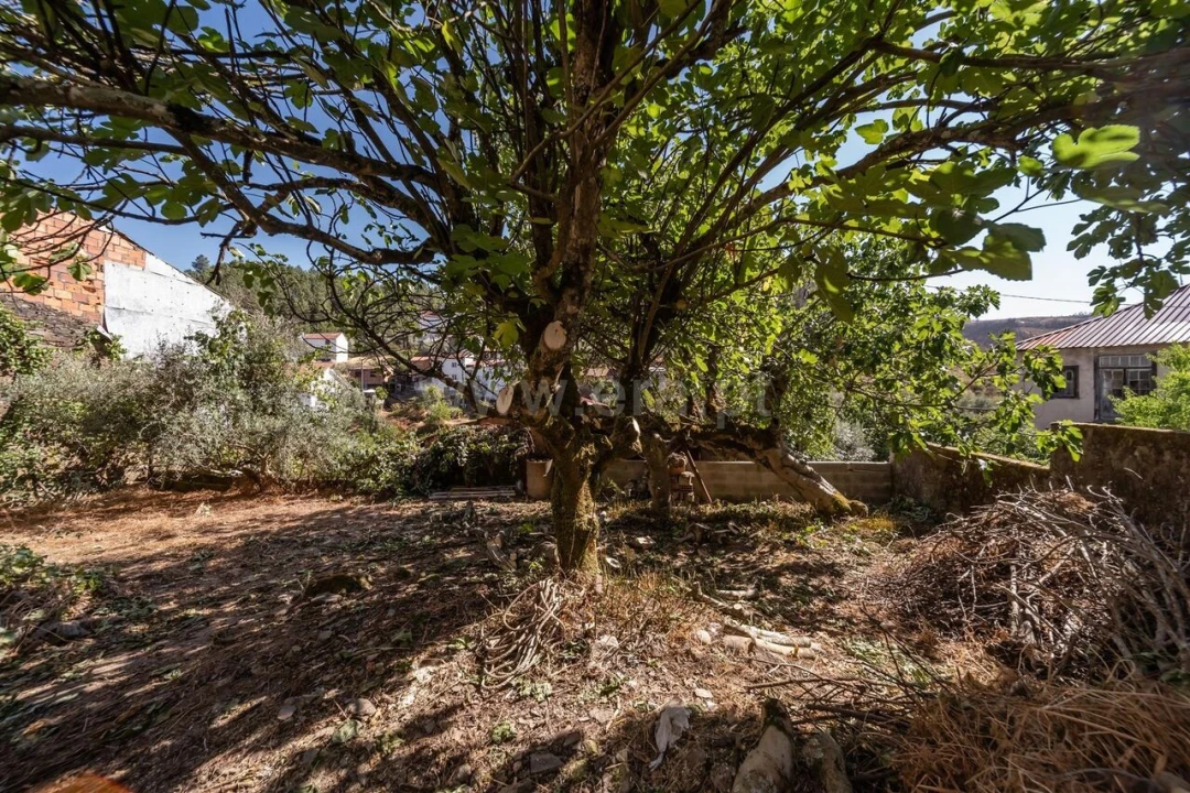 Moradia T1 para Venda em Silvares Foto 4