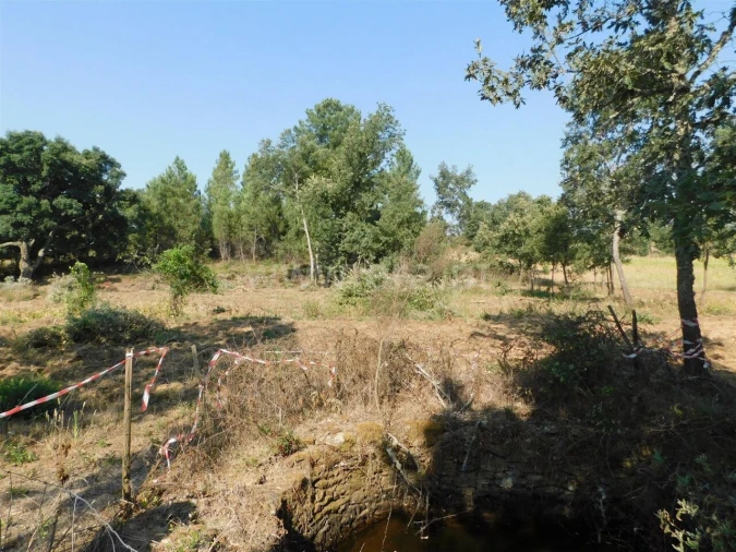 Terreno para Venda em Capinha Foto 7