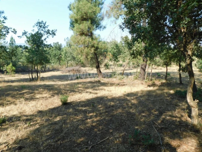 Terreno para Venda em Capinha Foto 4