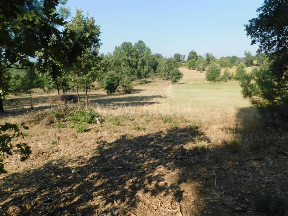 Terreno para Venda em Capinha Foto 1