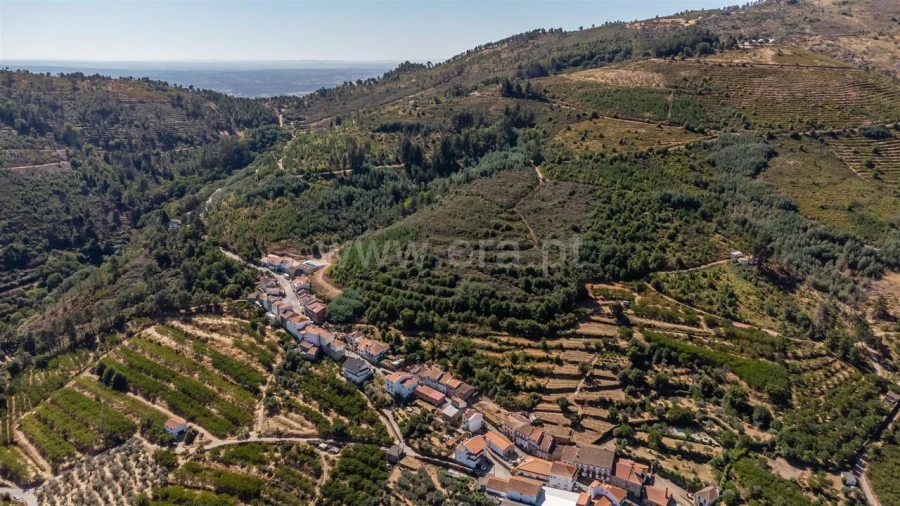 Quinta T0 para Venda em Alcongosta Foto 10