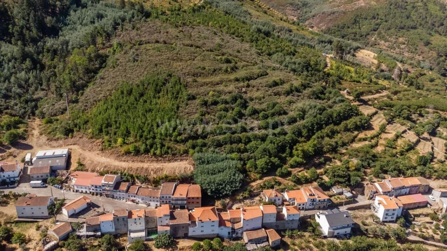 Quinta T0 para Venda em Alcongosta Foto 11