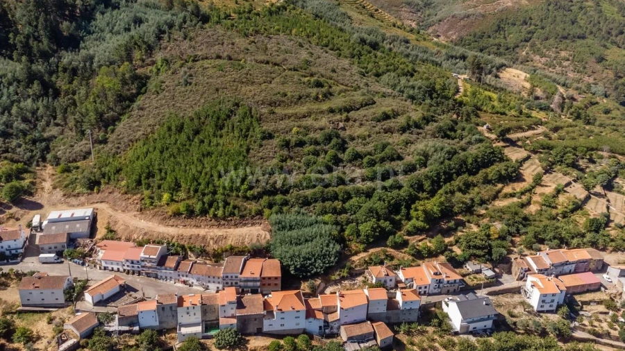 Quinta T0 para Venda em Alcongosta