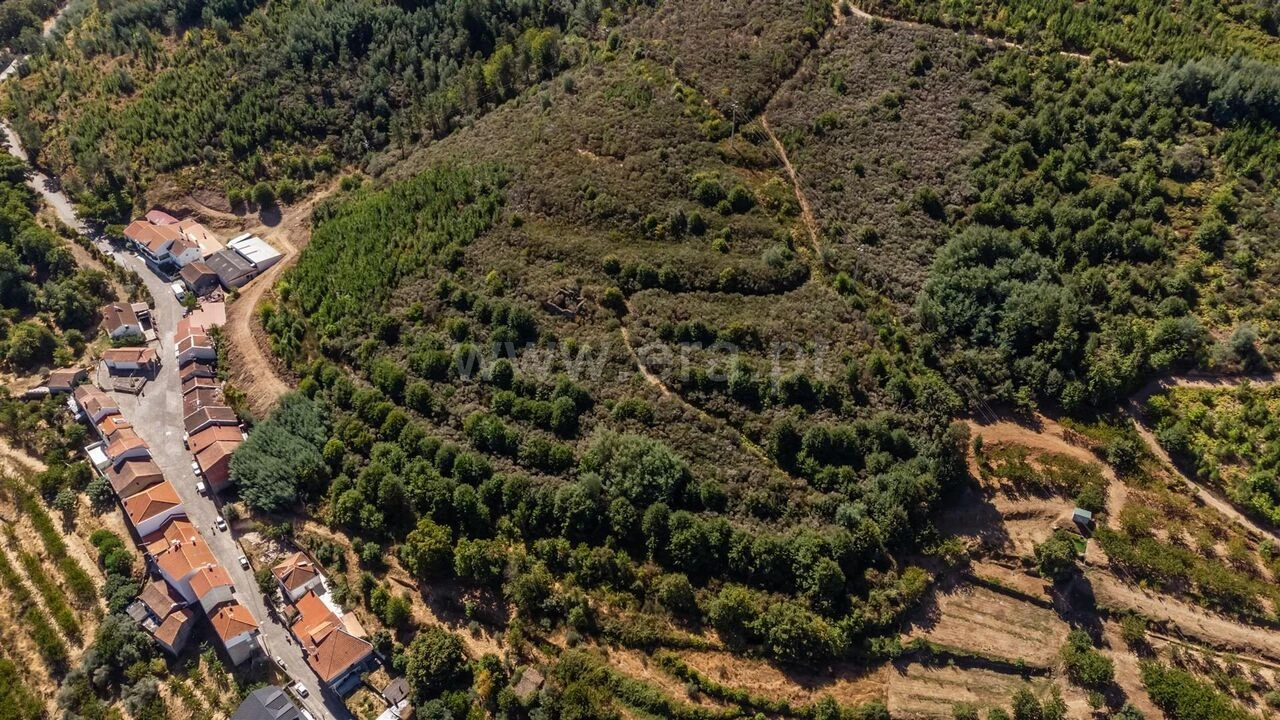 Quinta T0 para Venda em Alcongosta Foto 5
