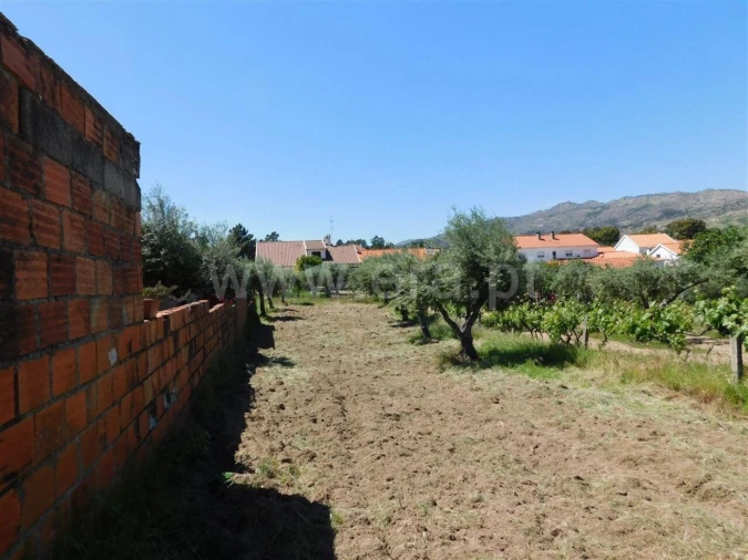 Terreno para Venda em Soalheira Foto 4