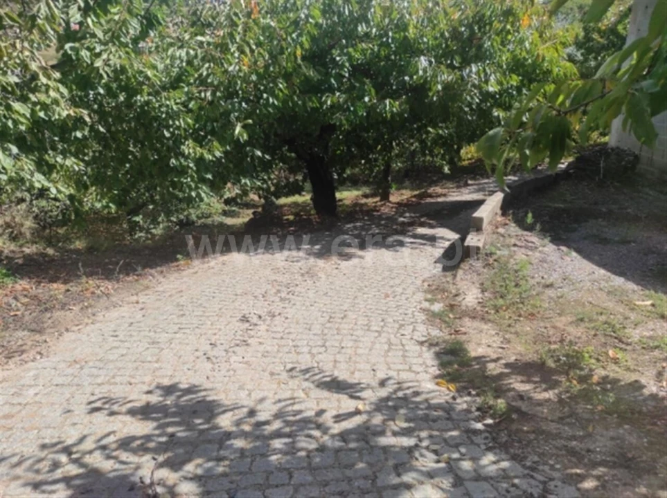 Quinta T0 para Venda em Alcongosta Foto 5