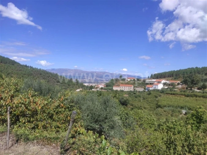 Quinta T0 para Venda em Alcongosta Foto 9