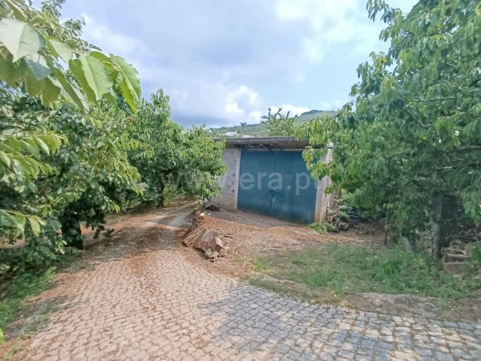 Quinta T0 para Venda em Alcongosta Foto 2