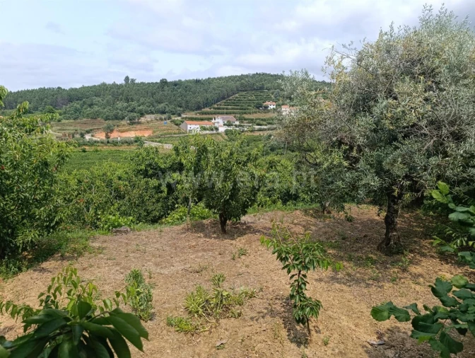 Quinta T0 para Venda em Alcongosta Foto 11