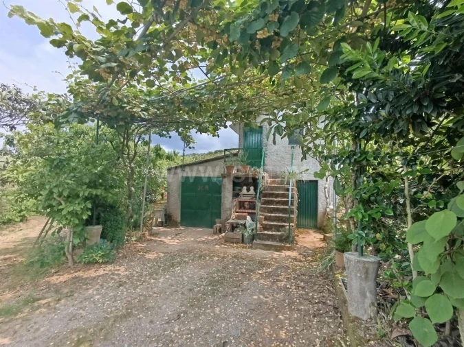 Quinta T0 para Venda em Alcongosta Foto 10