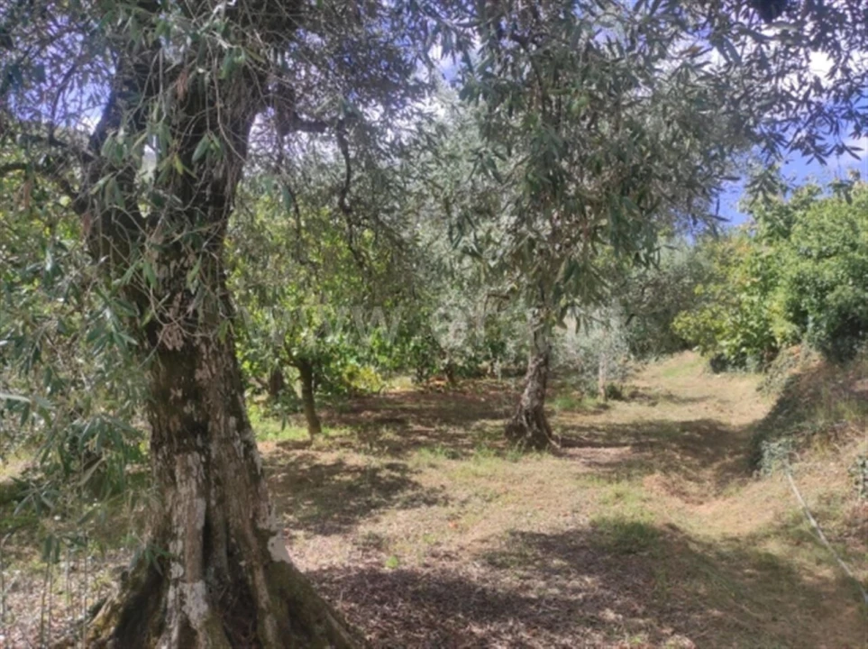 Quinta T0 para Venda em Alcongosta Foto 6