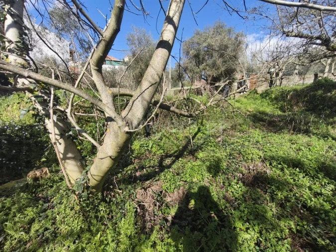 Terreno para Venda em Souto da Casa Foto 5