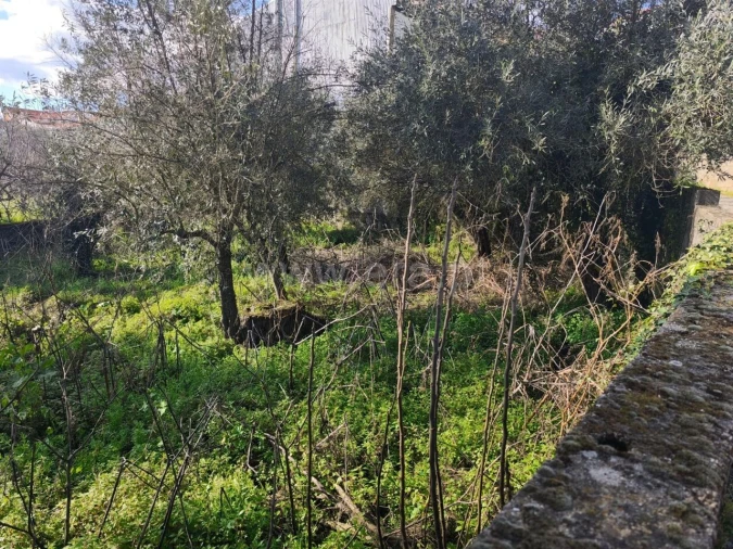 Terreno para Venda em Souto da Casa Foto 3