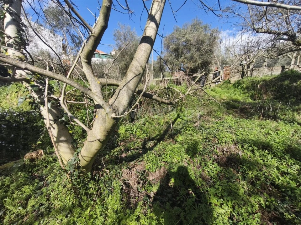 Terreno para Venda em Souto da Casa Foto 5