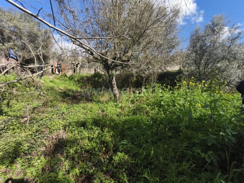 Terreno para Venda em Souto da Casa Foto 6