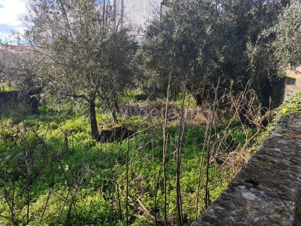 Terreno para Venda em Souto da Casa Foto 3