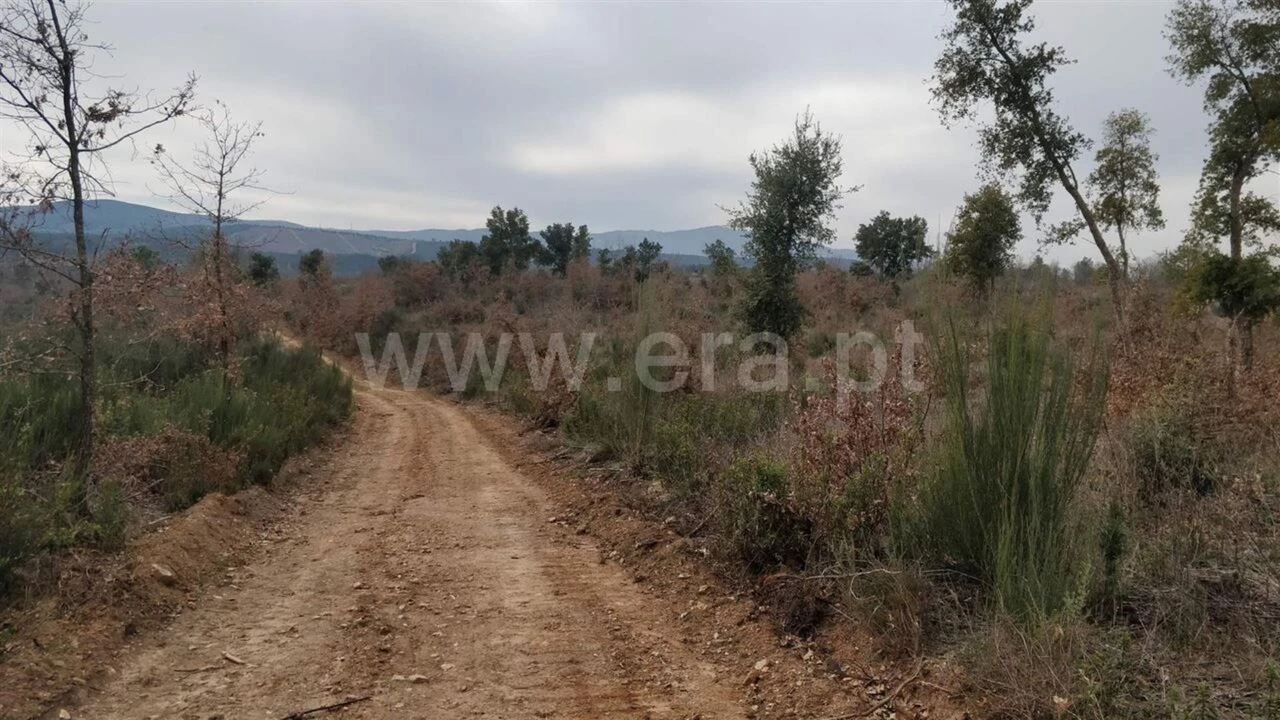 Terreno para Venda em Pero Viseu Foto 4
