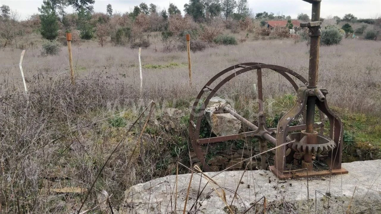 Terreno para Venda em Pero Viseu Foto 2