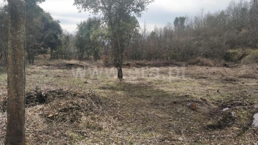 Terreno para Venda em Pero Viseu