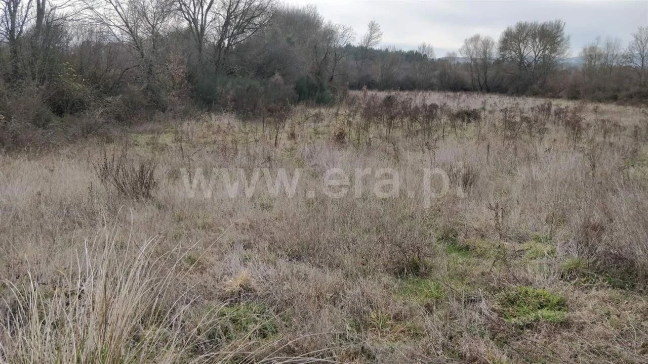 Terreno para Venda em Pero Viseu Foto 3