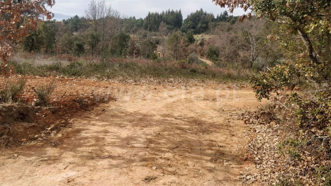 Terreno para Venda em Pero Viseu Foto 6