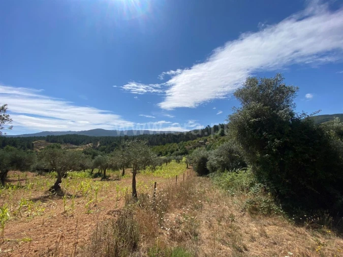 Terreno para Venda em Castelejo Foto 1