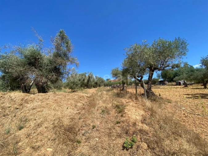 Terreno para Venda em Castelejo Foto 3