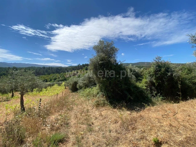 Terreno para Venda em Castelejo Foto 5