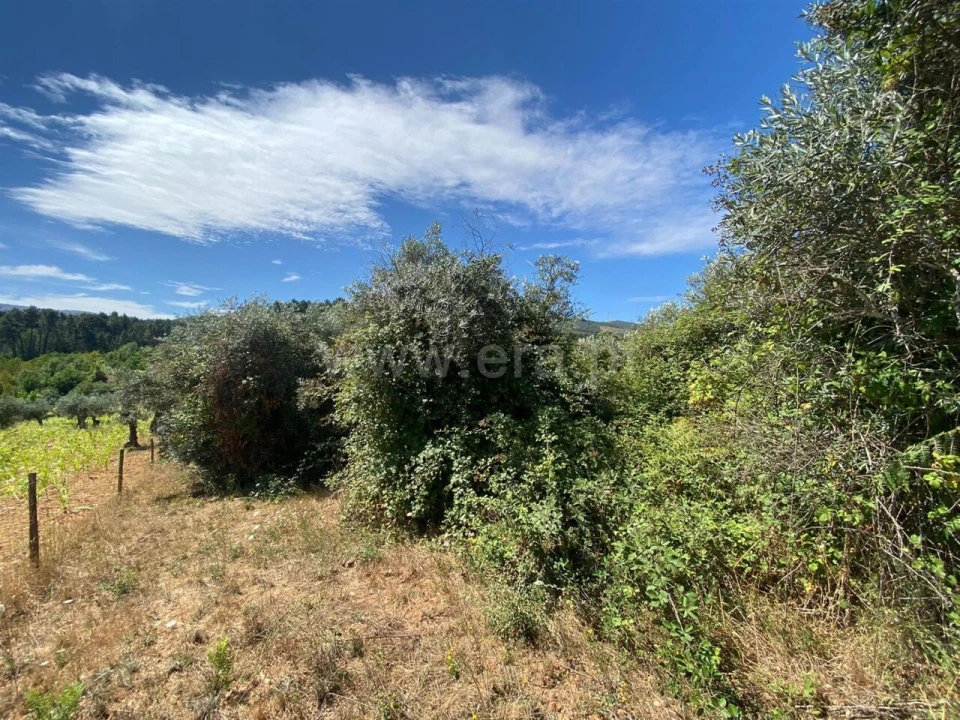 Terreno para Venda em Castelejo Foto 4