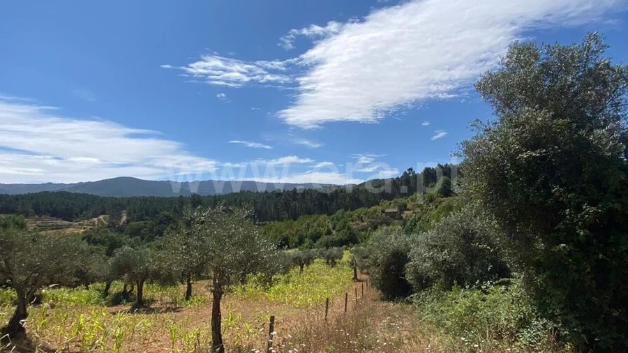 Terreno para Venda em Castelejo