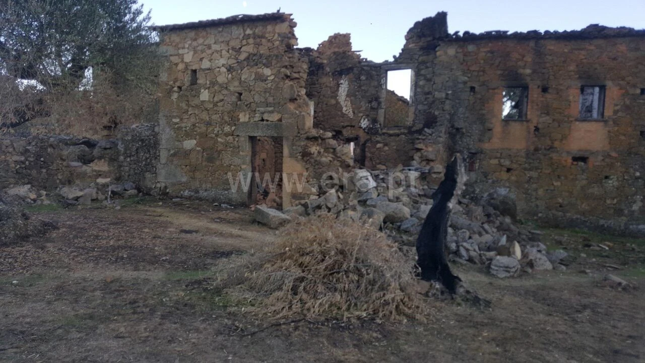 Moradia T1 para Venda em Telhado Foto 1