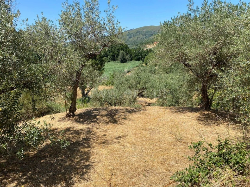 Terreno para Venda em Castelejo Foto 4