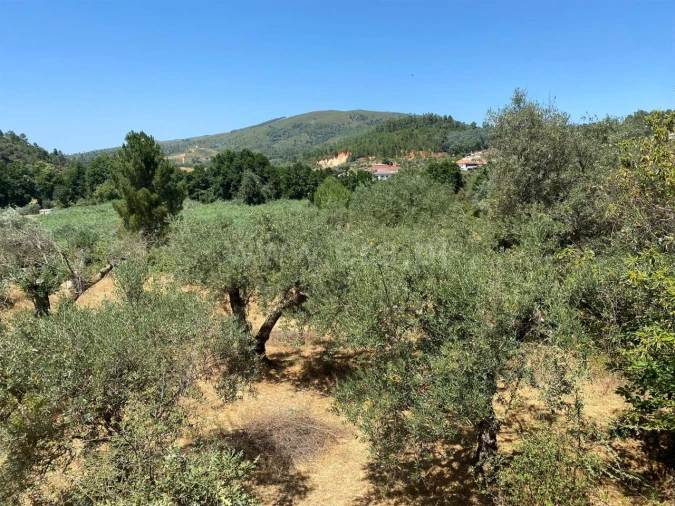Terreno para Venda em Castelejo