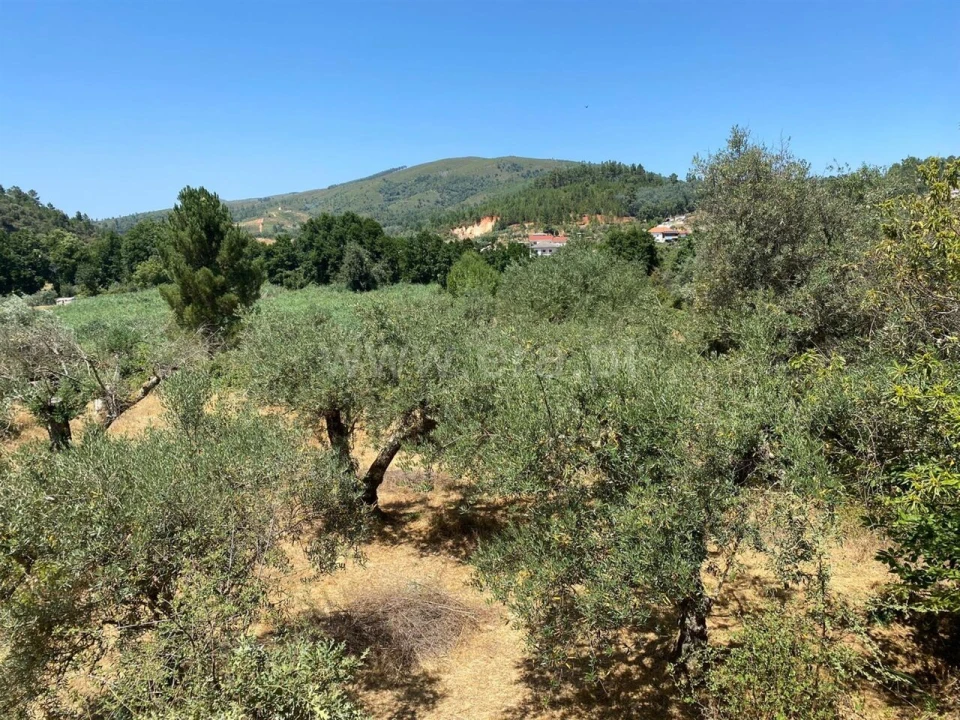 Terreno para Venda em Castelejo Foto 1