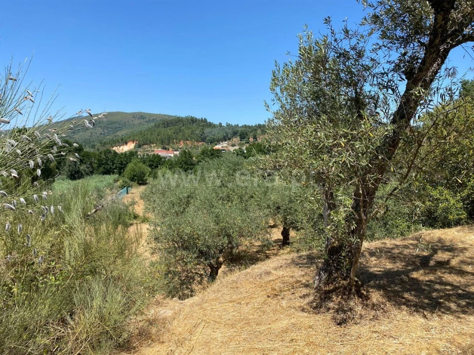 Terreno para Venda em Castelejo Foto 3