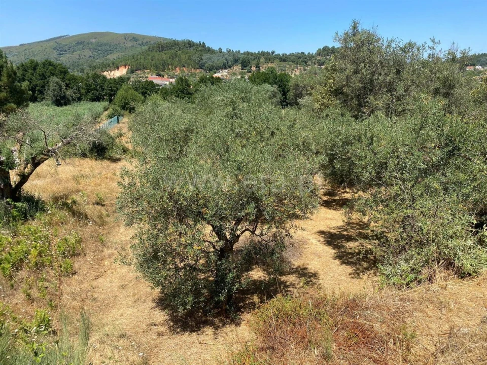 Terreno para Venda em Castelejo Foto 2