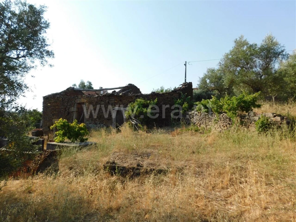 Terreno para Venda em Enxames Foto 4