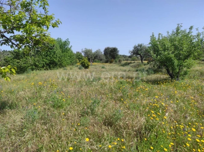 Quinta T0 para Venda em Orca Foto 8