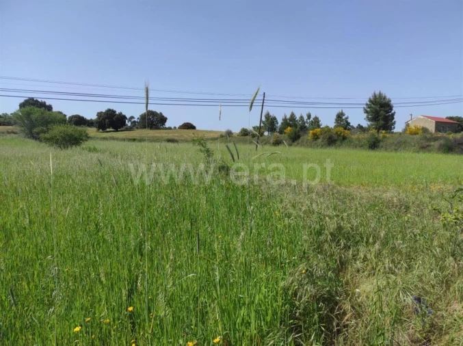 Quinta T0 para Venda em Orca Foto 9