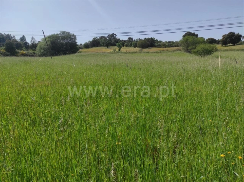 Quinta T0 para Venda em Orca Foto 10