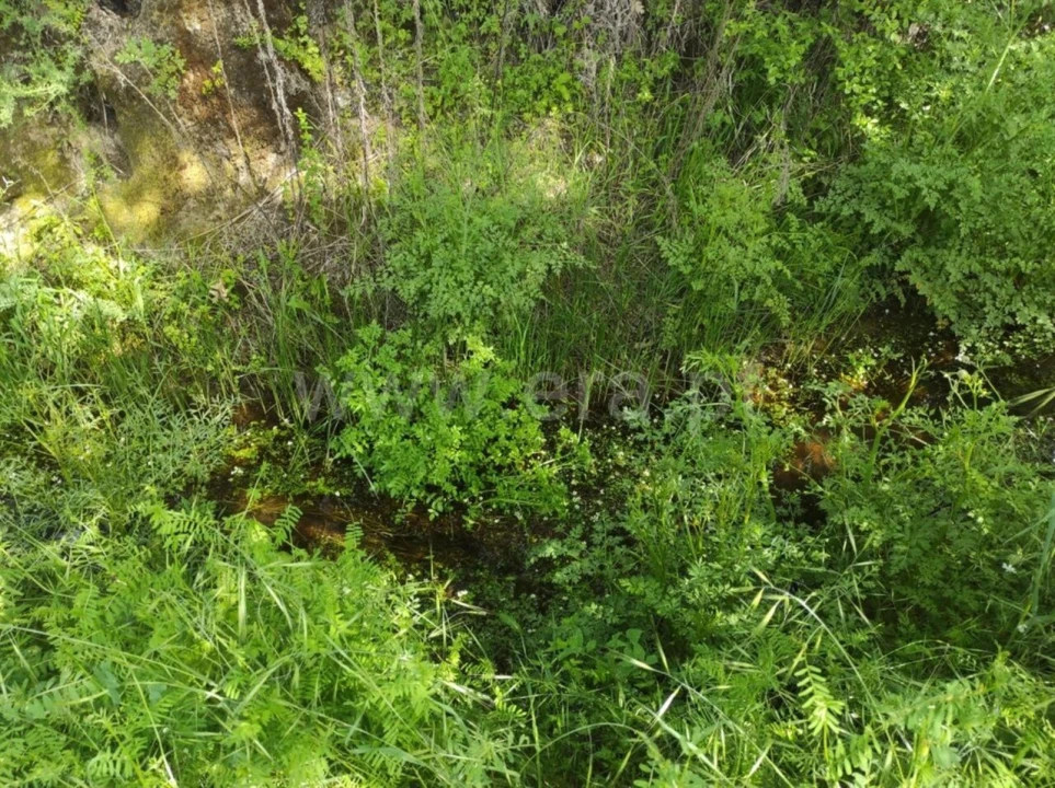 Quinta T0 para Venda em Orca Foto 3