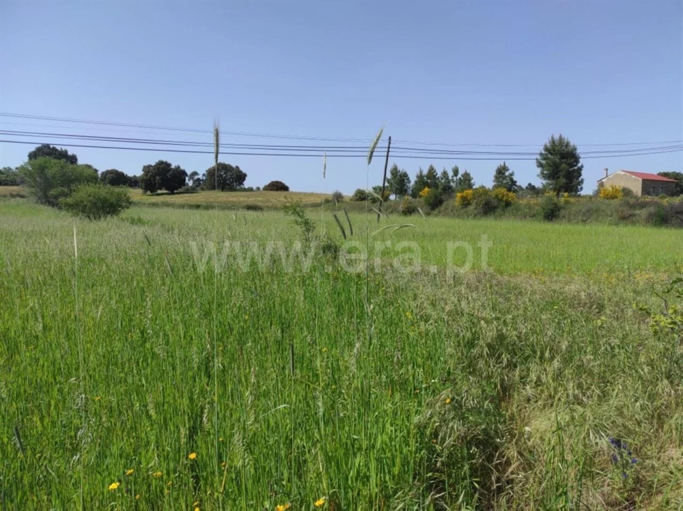 Quinta T0 para Venda em Orca Foto 9