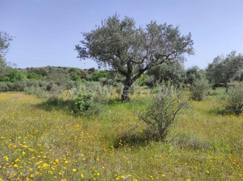 Quinta T0 para Venda em Orca Foto 6