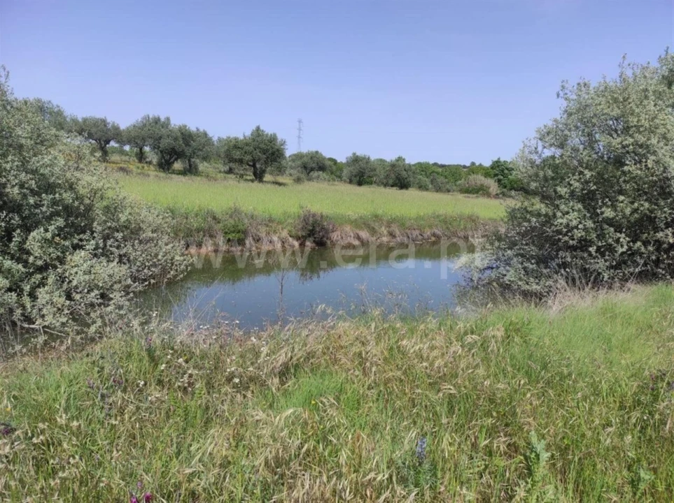 Quinta T0 para Venda em Orca Foto 11